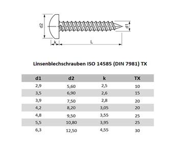 Technisch Linsenblechschrauben ISO 14585 DIN 7981 TX.jpg